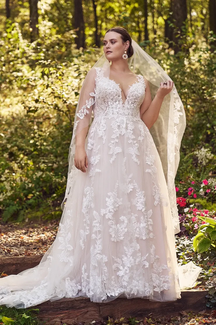 Plus Size Gowns Style #66163 - Lilian West Default Thumbnail Image
