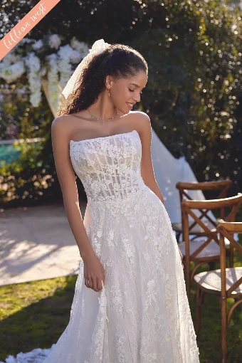 Plus Size Gowns Style #66432 - Lilian West #1 thumbnail