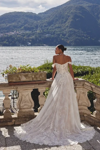 Plus Size Gowns Style #Katerina - Justin Alexander #1 thumbnail
