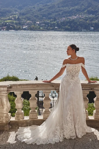 Plus Size Gowns Style #Katerina - Justin Alexander #2 thumbnail