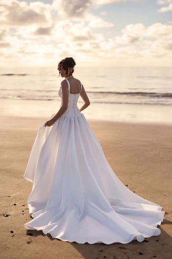 Plus Size Gowns Style #Tousaint - COMING SOON #1 thumbnail